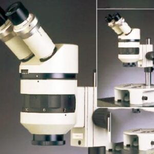 Microscopio Binocular estereo - CETI - Steddy