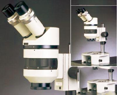 Microscopio Binocular estereo - CETI - Steddy