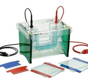 Cuba de electroforesis vertical - TV100