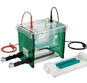 Cuba de electroforesis vertical con Casting  refrigerado - TV100YK